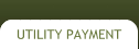 Utility Payment